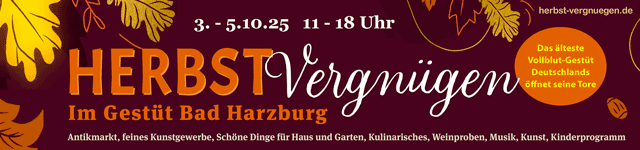 Infokachel mit Antikmarkt, Kunstgewerbe, Kulinarisches, Weinproben, Musik, Kinderprogramm
